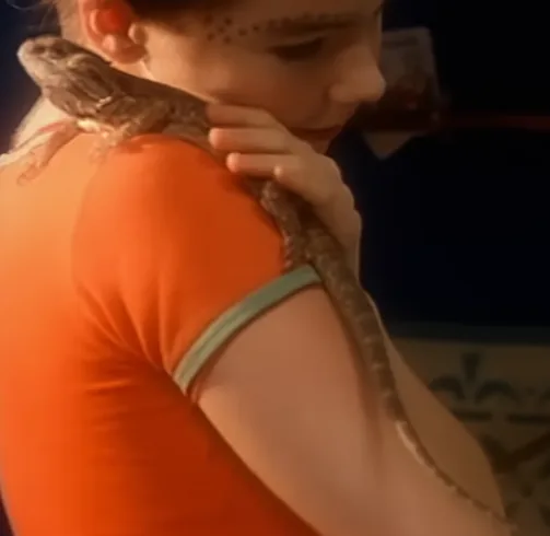 Lizard on the shoulder