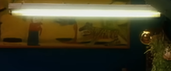 Overhead strip light — original image