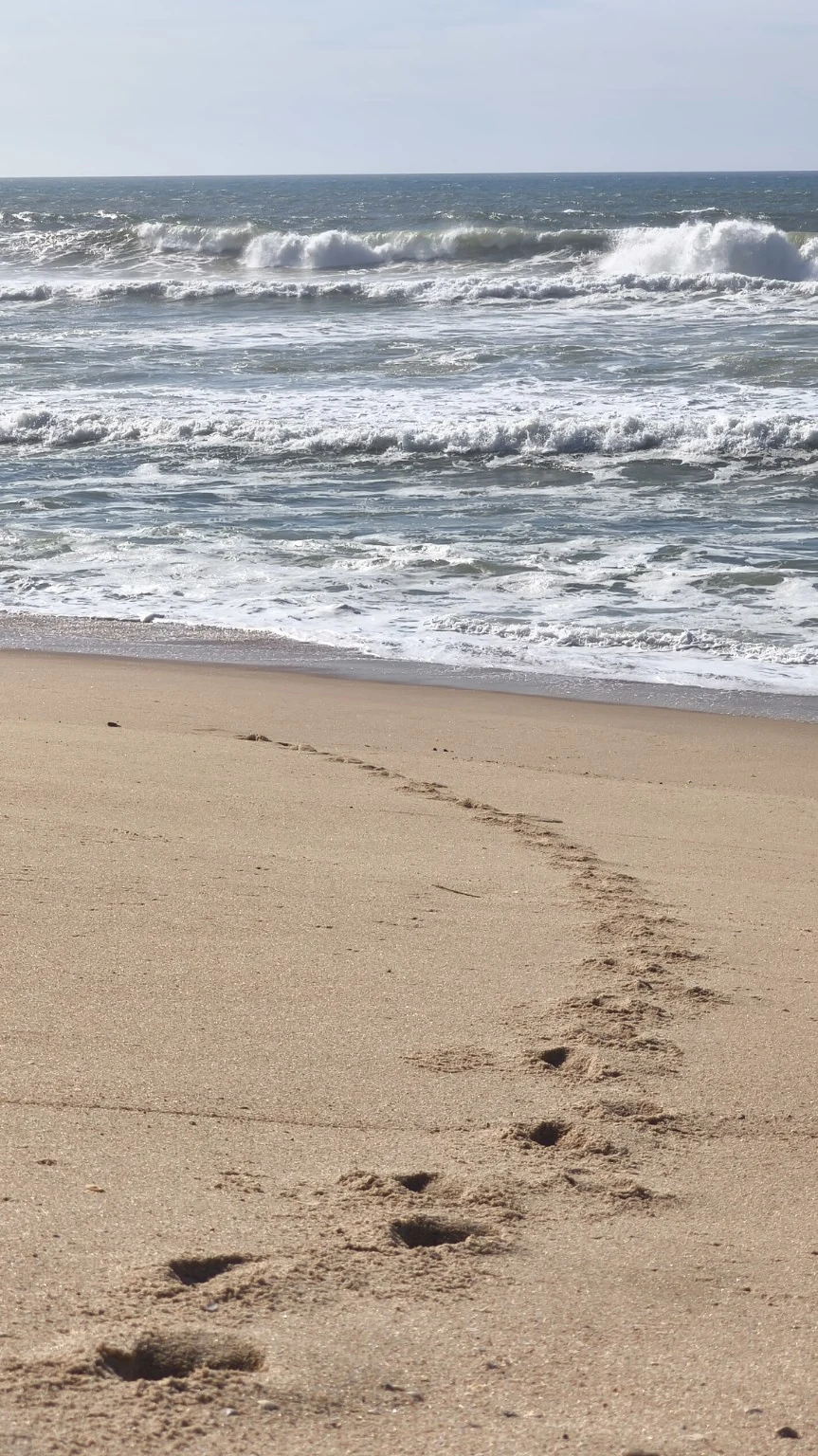 Atlantic waves and footprints in the sand
