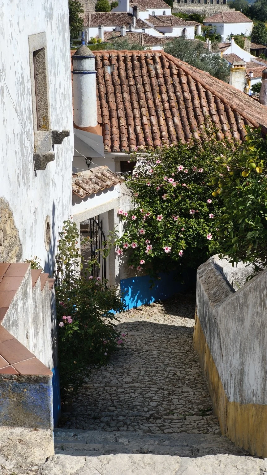 An alley into quiet
