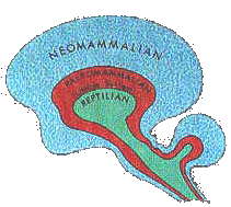 Alien Reptoid type picture brain