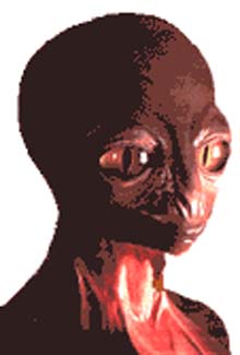Alien Reptoid type picture